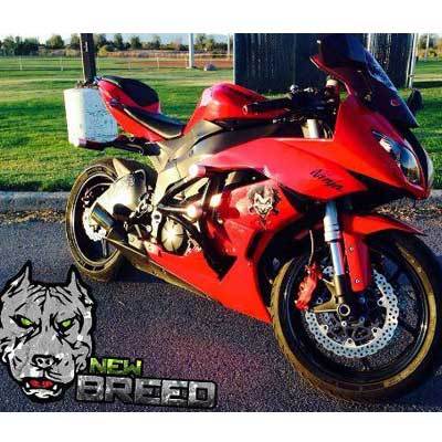 New Breed Crash Cage Kawasaki 636 Cage - Stunt Cage zx6r