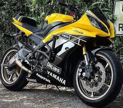 New Breed Stunt Parts crash cage and subcage for Yamaha R6 limited edition raven edition yellow black white full cage