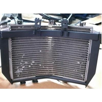 Racing 905 Radiator Armor (Radiator Cage) - Honda F4i