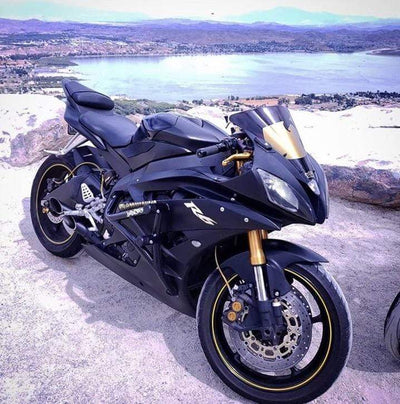 black and gold Yamaha R6 with Impaktech cage and gold brake lines