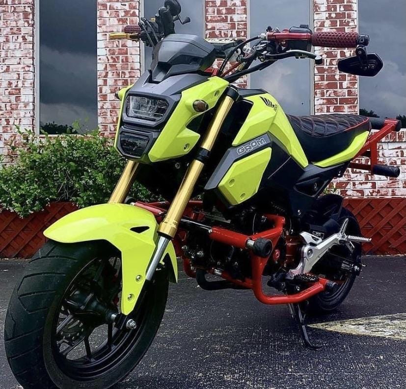 Honda Grom Cage - New Breed Stunt Parts